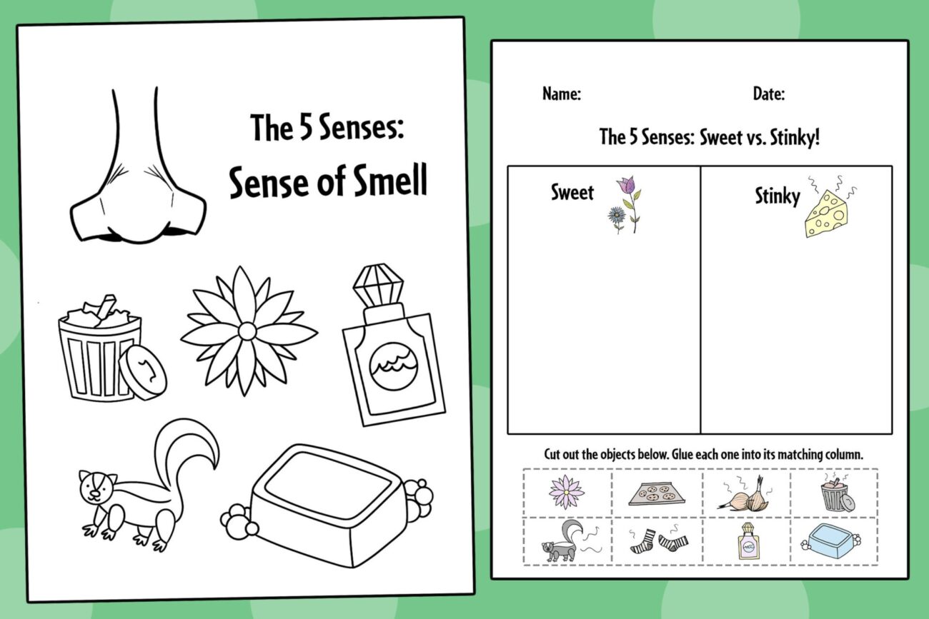 Sense Of Smell Worksheets For Preschool The Hollydog Blog