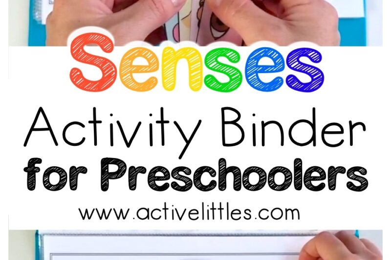 Preschool Learning Binder Printables Pdf