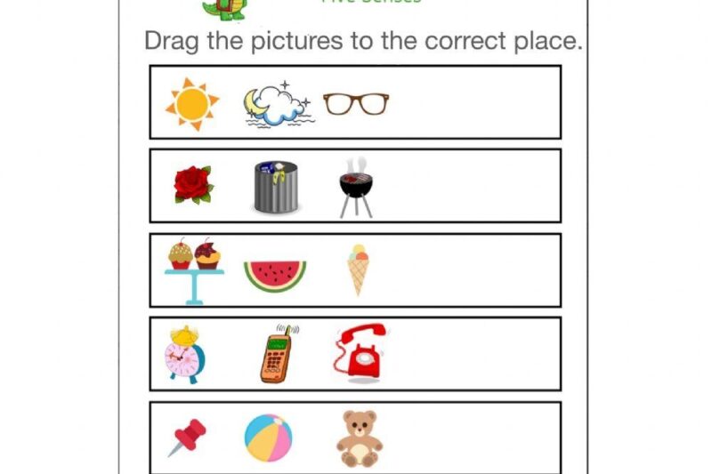 Sensory Words Worksheet Kindergarten