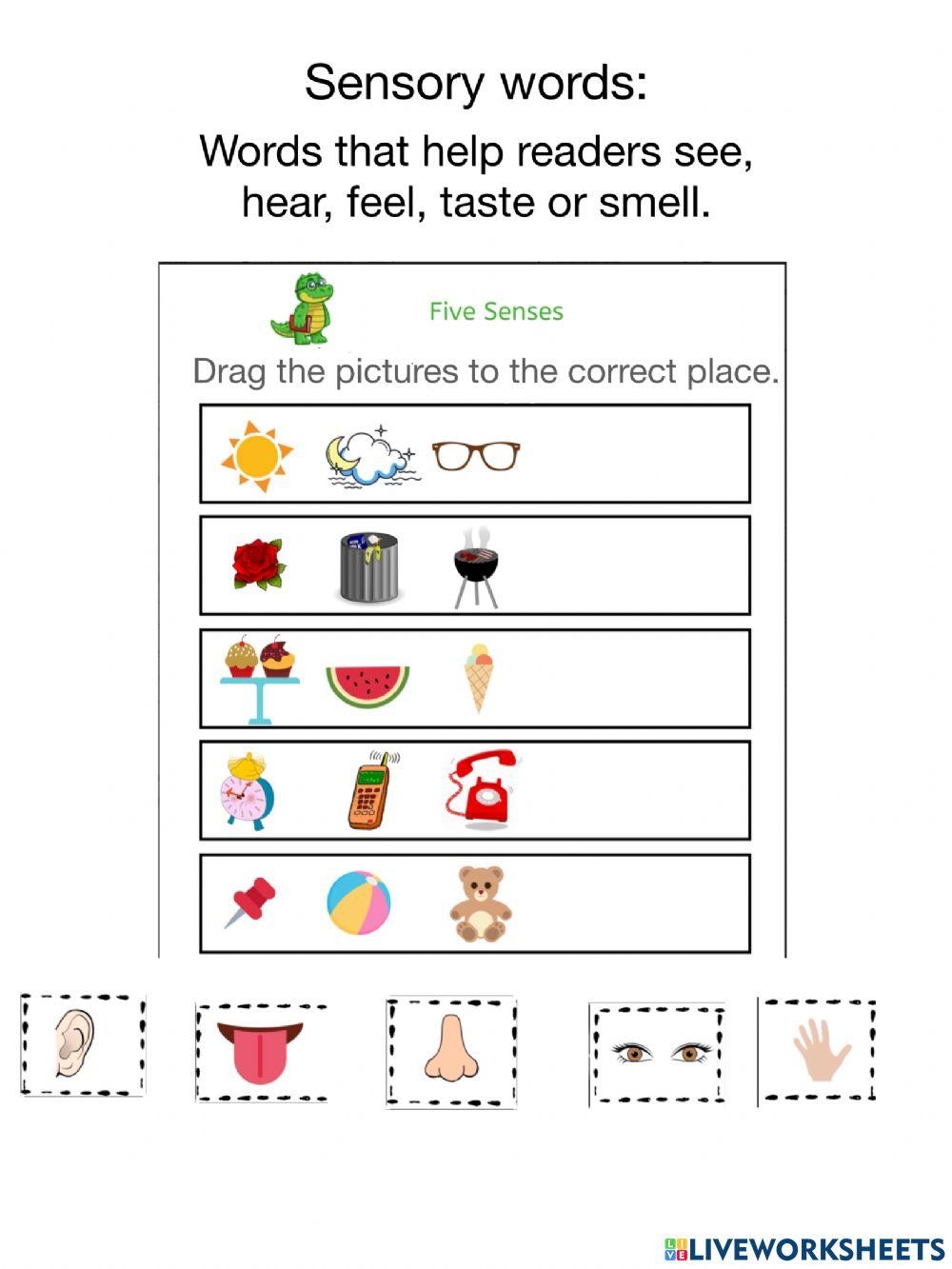 Sensory Detail Worksheet PDF Nature Worksheets Library