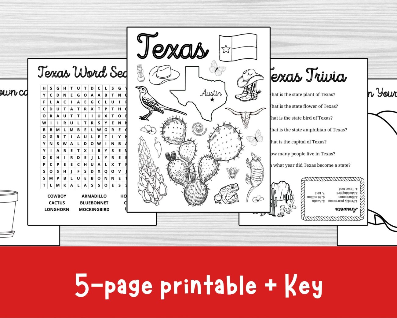 Set Of 5 Texas Activity Pages Texas State Symbols Texas Activity