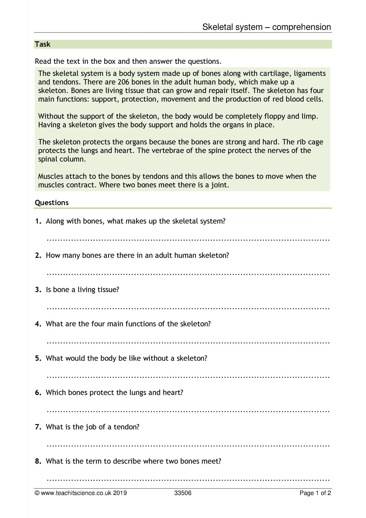 Skeletal System Comprehension KS3 Biology Teachit