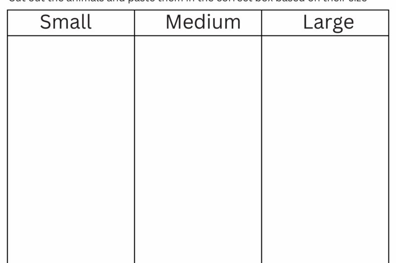 Sorting Worksheets Kindergarten Printable