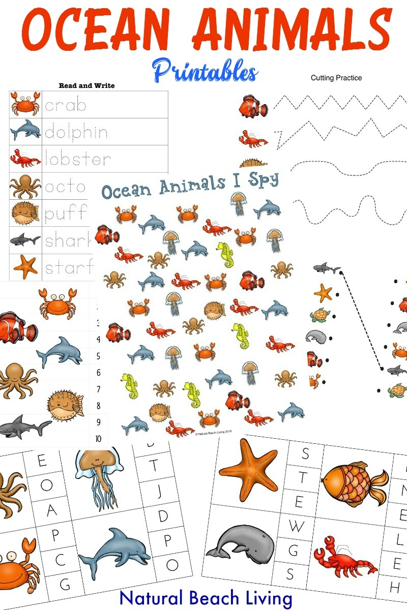 Free Printable Ocean Stories For Preschoolers