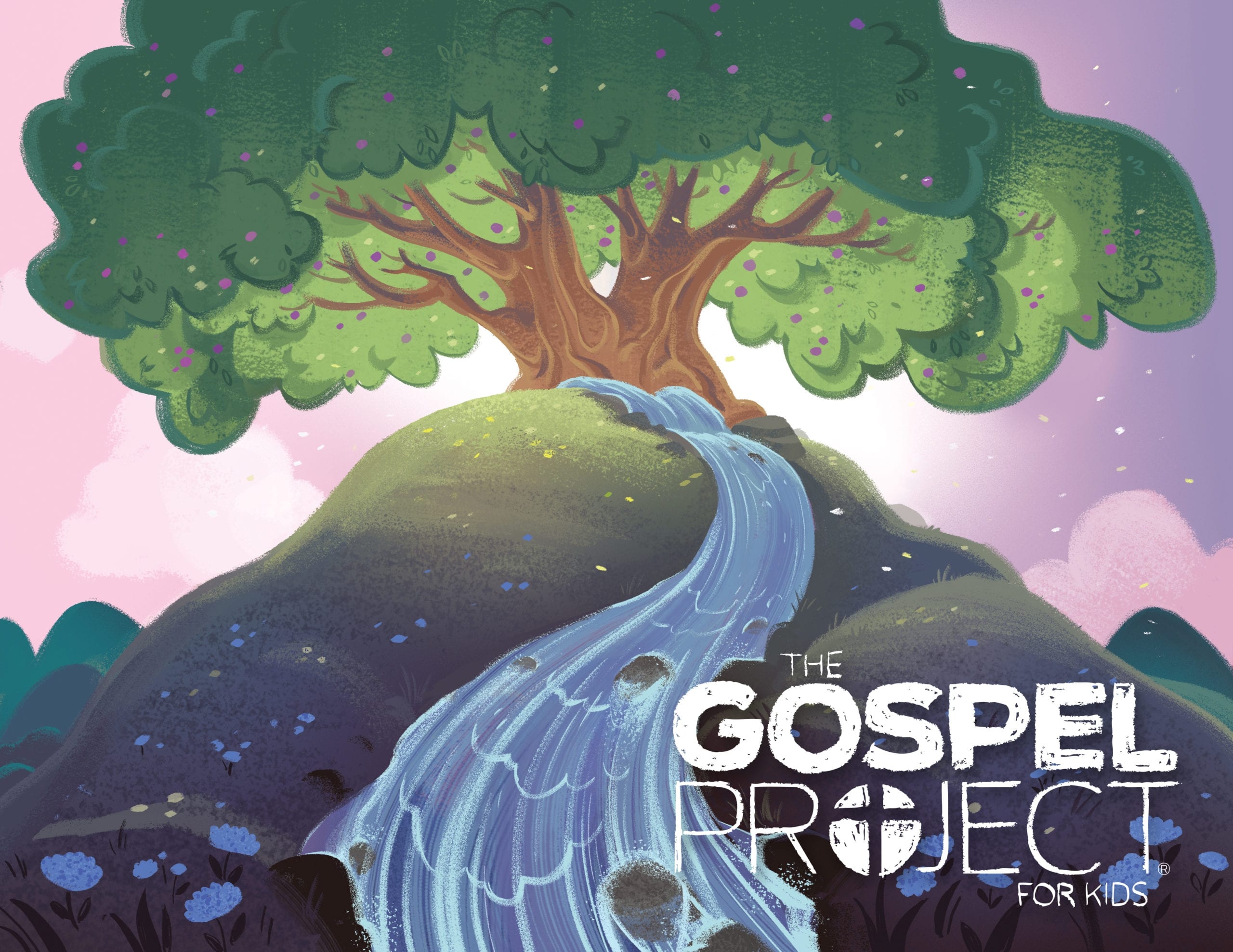 The Gospel Project The Gospel Project
