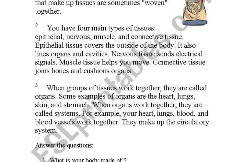 Human Body Reading Comprehension Worksheets