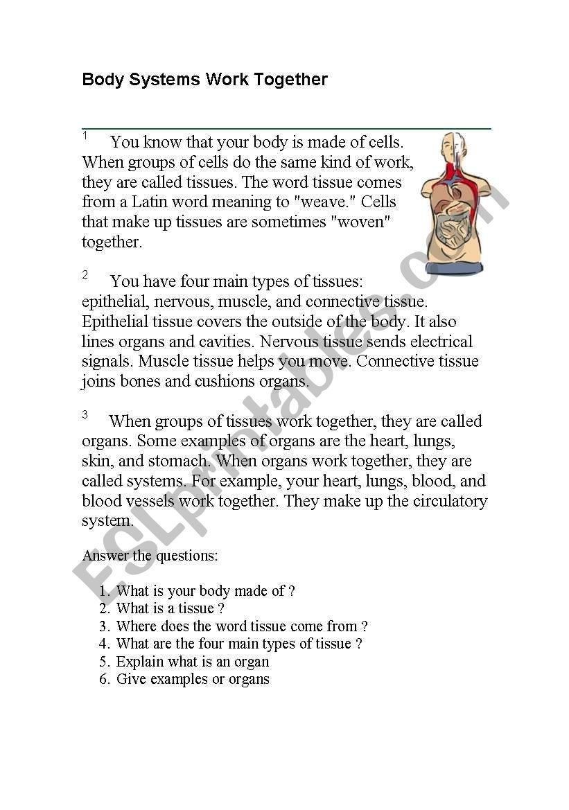 The Human Body ESL Worksheet By Fabmolies