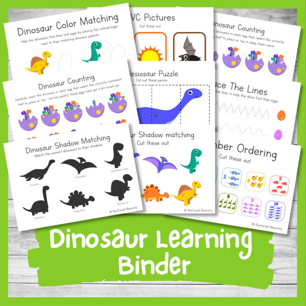 The Ultimate Preschool Dinosaur Learning Binder Printable PDF Nurtured Neurons