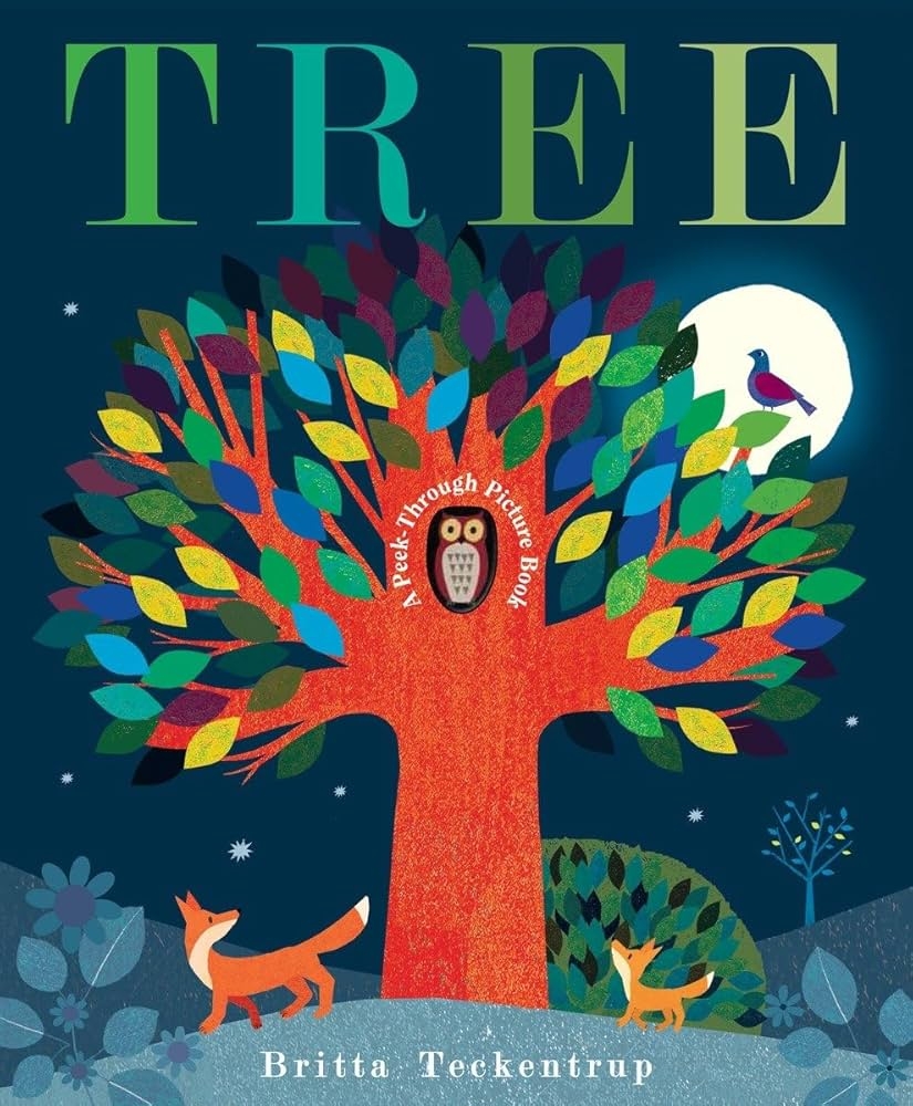 Tree A Peek Through Picture Book Teckentrup Britta 