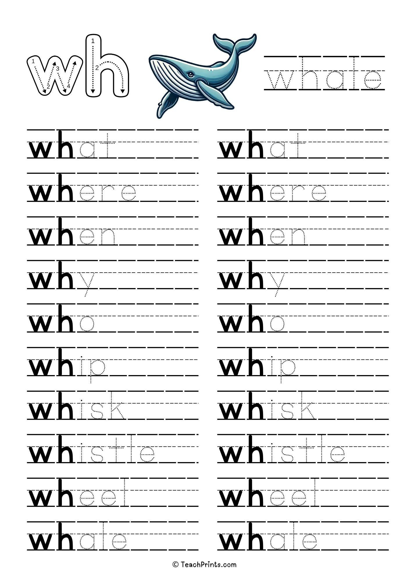 Wh Words Worksheets Free PDF Printables Teach Prints